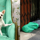 Image for article titled Study Finds Gap Widening Between Rich Pets And Poor Americans